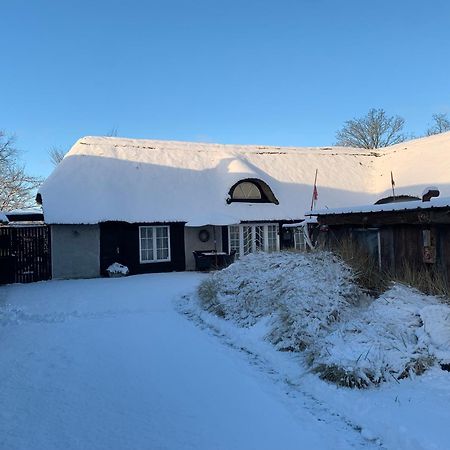 Farm61 Badehotellet I Det Midtjydske - Alder +18 Ar Tjele Luaran gambar