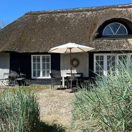Farm61 Badehotellet I Det Midtjydske - Alder +18 Ar Tjele Luaran gambar