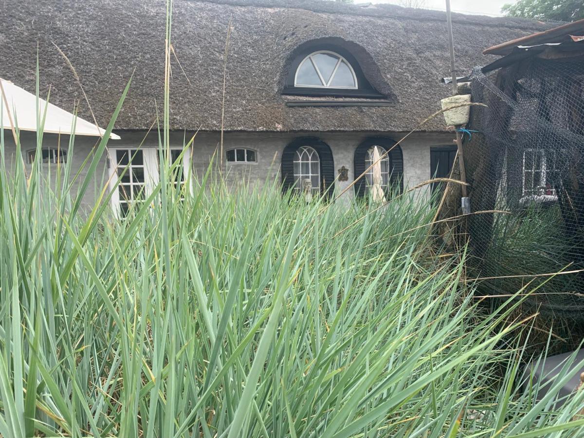 Farm61 Badehotellet I Det Midtjydske - Alder +18 Ar Tjele Luaran gambar