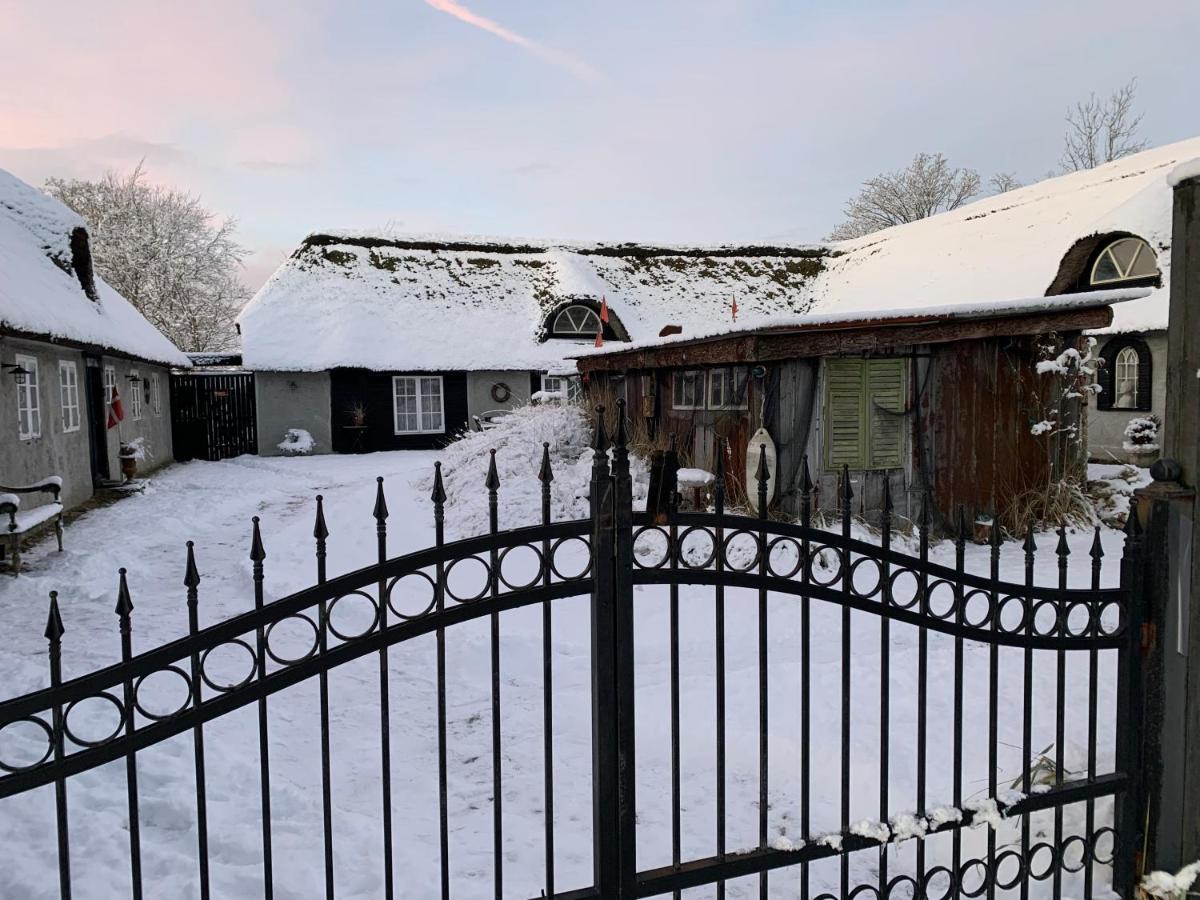 Farm61 Badehotellet I Det Midtjydske - Alder +18 Ar Tjele Luaran gambar